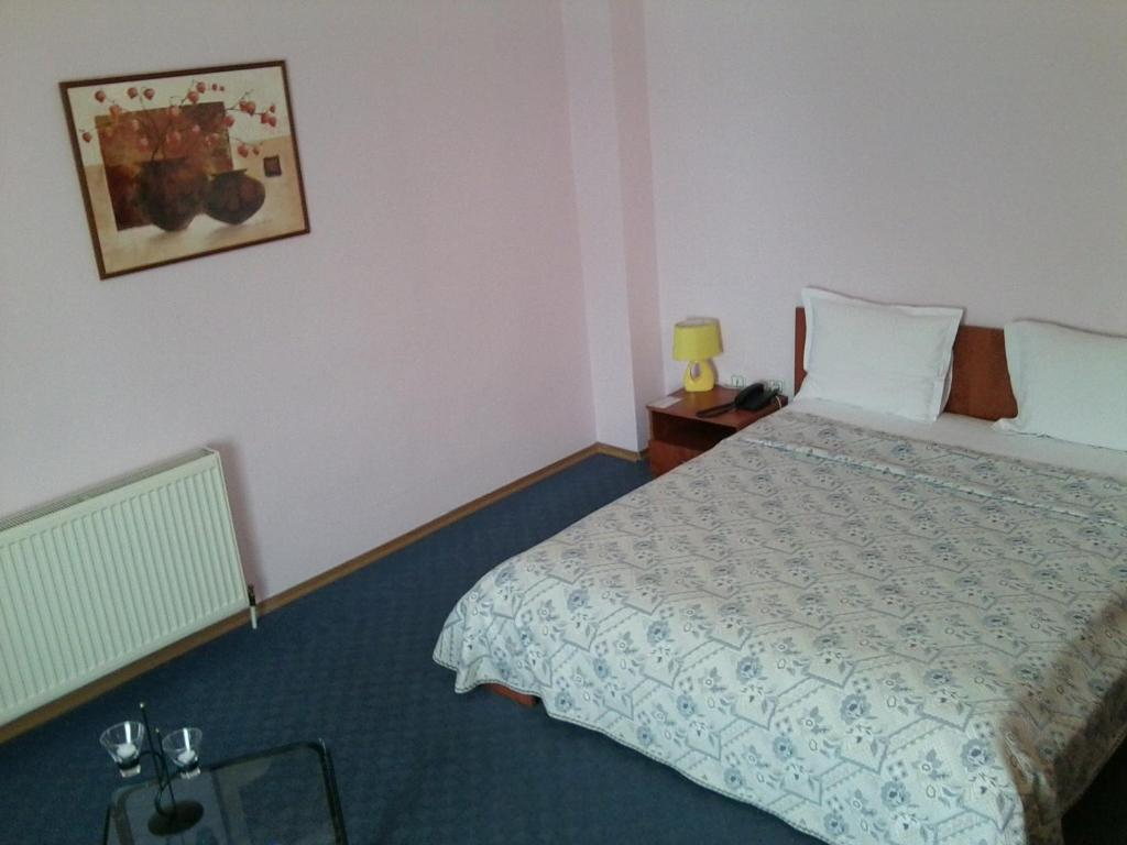 Hotel Adriatico Тимишоара Екстериор снимка